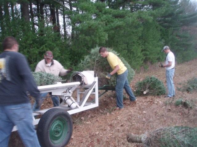 Prepping Tree